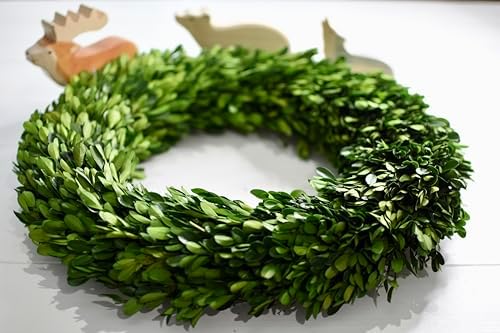 Preserved Boxwood Wreath 22 Inch Extra Large – Real Greenery Spring Summer & Year-Round Indoor Décor, Farmhouse Wall Door & Mantel, Fade-Resistant - Image 5