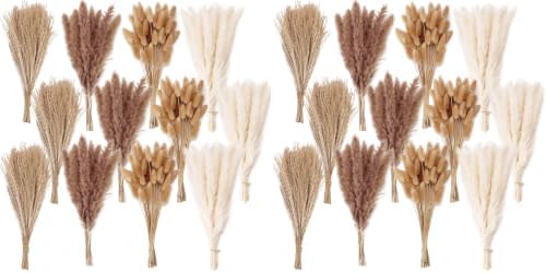 300 PCS Dried Flower Bouquet – Pampas Grass, Floral Decor for Home, Wedding, and Boho Style | Perfect for Vases, Fall, Spring, Summer, and Winter Arrangements (Pack of 2) by ANPROOR