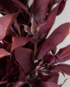 Balsam Hill | Artificial Christmas Wreath for Front Door | Greenery | Indoor & Outdoor Christmas Decor (Burgundy Red Leaves 26") - Image 2