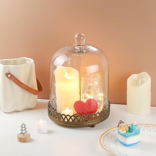 Twakutwku 12" Tall Large Sturdy Handmade Glass Cloche Dome with Metal Base in Gold for Plant, Terrarium, Collectibles, Candle. Cloche Glass Dome, Bell Jar Display Case (Gold, 12") - Image 5