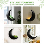 Black Hanging Moon Planter with Drain Holes - Moon Room Decor - Unique Planters for Succulents,Air Plant, Cactus, Artificial Plants- Plant Lover Gifts - Boho,Hippie, Birthdays,Witchy Gifts for Women - Image 4