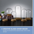 5pcs Clear Glass Cloche Globe Display Dome with Wooden Base Decorative Glass Cloche Bell Jar Display Case for Collectibles Enchanted Rose Small Beer Specimens Snow Globes Crafts 10cm - Image 6