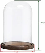MyGift Glass Bell Jar Cloche Display Dome with Rustic Burnt Wood Base - Image 2