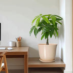 Ceramic Planter, 10 Inch Plant Pot for Indoor Plants, Beige - Image 7