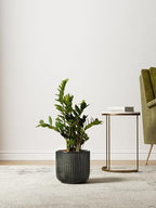 LE TAUCI Ceramic Pots for Plants, 8.3/7/6 Inch Indoor Planters with Drainage Holes & Mesh, Modern Glossy Glaze Cylinder Fluted Plant Pot for Snake Plant, Set of 3, Dark Olive - Image 4
