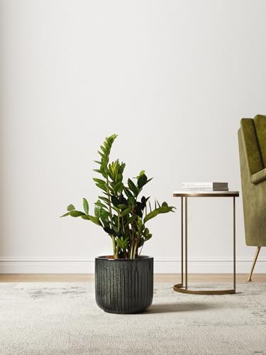 LE TAUCI Ceramic Pots for Plants, 8.3/7/6 Inch Indoor Planters with Drainage Holes & Mesh, Modern Glossy Glaze Cylinder Fluted Plant Pot for Snake Plant, Set of 3, Dark Olive - Image 4