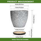 Ceraimc Plant Pot - 8 Inch Planter with Drainage and Saucer, Modern Round Planter, Flower Pot for Indoor Outdoor Plants, Home Room Garden Apartment Decor, Gifts for Plant Lovers, White-Black - Image 3