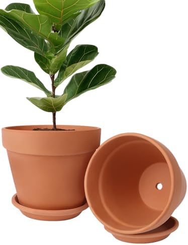 INGOFIN Terracotta Pot Set of 2 with Saucer - 10 Inch Ceramic Clay Pot for Plants with Drainage Hole, Large Terra Cotta Flower Planter with Tray for Indoor Outdoor Plants by INGOFIN