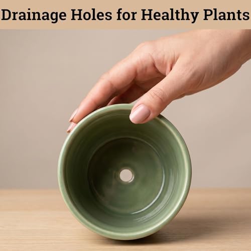 Ceramic Pots for Plants Set of 3, 6, 5, 4 Inch Diameter with Drainage Holes - Image 4