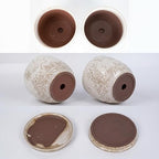 Claybourne Embossed Terracotta Plant Pots with Drainage Hole & Saucer, 4/6/8 Inch, Indoor/Outdoor Planter with Pebbles (White（Forest Elf）, 6 inch) - Image 3