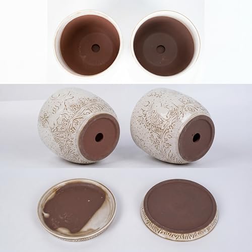 Claybourne Embossed Terracotta Plant Pots with Drainage Hole & Saucer, 4/6/8 Inch, Indoor/Outdoor Planter with Pebbles (White（Forest Elf）, 6 inch) - Image 3