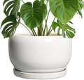 SQOWL Ceramic Pot for Plants - 10 Inch Planter with Drainage Hole and Saucer, Round Ceramic Flower Pot for Indoor Outdoor, Modern Decorative Large Planter, Patio Decor, Gifts for Plant Lovers, White by SQOWL
