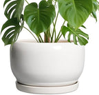 SQOWL Ceramic Pot for Plants - 10 Inch Planter with Drainage Hole and Saucer, Round Ceramic Flower Pot for Indoor Outdoor, Modern Decorative Large Planter, Patio Decor, Gifts for Plant Lovers, White by SQOWL