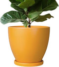 10 Inch Plant Pot - Ceramic Planter with Drainage Hole and Saucer, Modern Flower Pot, Round Planters for Indoor Plants, Home Patio Bathroom Porch Garden Living Room Decor, Orange by EPFamily
