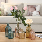 GMWD Glass Flower Vase Set of 6 Clear Bud Vases, 14.5 Oz 8 Oz Apothecary Bottle Assorted Color Vases Decorative for Centerpieces Home Decoration Wedding Reception Table Decor - Image 2