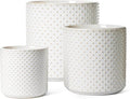 LE TAUCI 10+8+6 Inch Ceramic Pots for Plants, Indoor Planters with Drainage Hole and Plug, Raised Dots Cylinder Flower Pots Set of 3 for Living Room and Bedroom, Glossy, Arctic White by LETAUCI