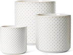 LE TAUCI 10+8+6 Inch Ceramic Pots for Plants, Indoor Planters with Drainage Hole and Plug, Raised Dots Cylinder Flower Pots Set of 3 for Living Room and Bedroom, Glossy, Arctic White by LETAUCI