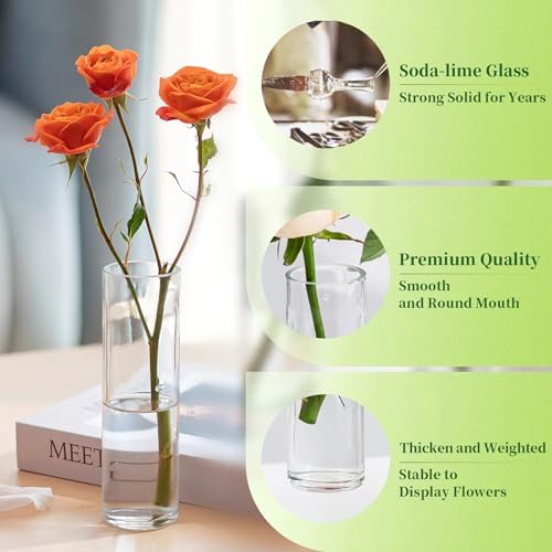 Hewory Cylinder Glass Bud Vases: Set of 12 Small Clear Skinny Single Flower Vase for Centerpieces - Minimalist Bulk Vases for Wedding Birthday Bridal Shower Party Events Table Decor, 5.91"(H)×1.8"(D) - Image 6
