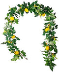 IUIBMI 6 Feet Artificial Lemon Garlands Spring Fruit Garland with Lemons Artificial Lemons Vines Garland for Front Door Home Kitchen Party Wedding Decor, Yellow, 1.85m/6ft by IUIBMI