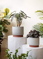 LE TAUCI Ceramic Pots for Plants, 8+6.7+5.5 Inch Plant Pots Indoor, Flower Pot with Drainage Holes, Medium Cylinder Planters for Indoor House Plants, Set of 3, Reactive Glaze White - Image 3
