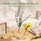 Glasseam Glass Bud Vases for Centerpieces, 12 Pcs Clear Small Vases in Bulk - Image 6