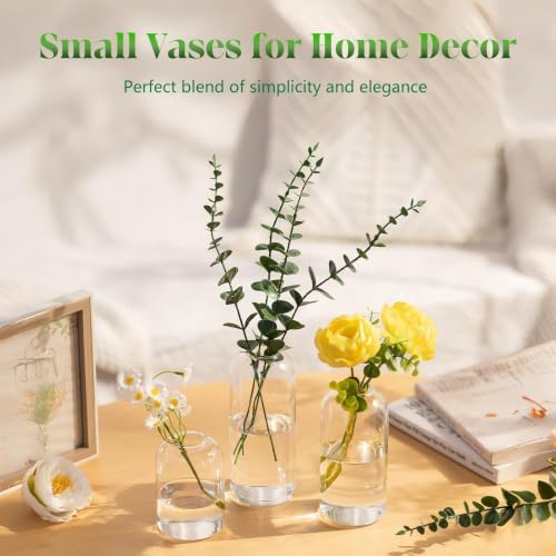 Glasseam Glass Bud Vases for Centerpieces, 12 Pcs Clear Small Vases in Bulk - Image 6
