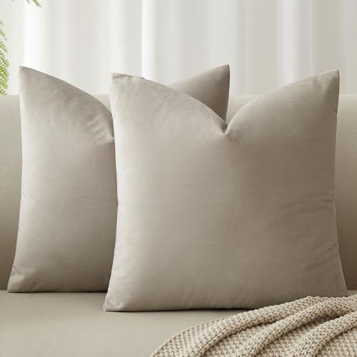 JUSPURBET 28x28 Euro Velvet Throw Pillow Covers Set of 2,Cloud by JUSPURBETHOME