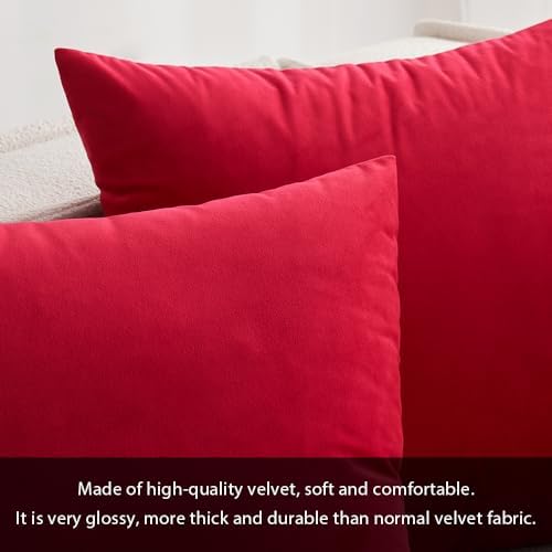 MIULEE 24x24 Inch Pack of 2 Euro Velvet Throw Pillow Covers Red - Image 4