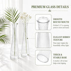 12 Pcs Glass Bud Vases Bulk for Centerpieces, 8.5” Tall Clear Bud Vases - Image 3