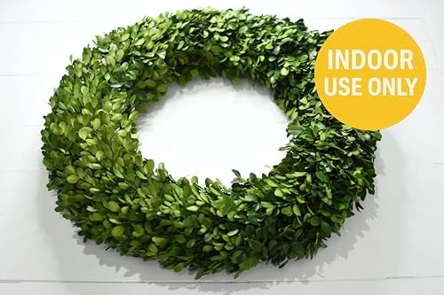 Preserved Boxwood Wreath 22 Inch Extra Large – Real Greenery Spring Summer & Year-Round Indoor Décor, Farmhouse Wall Door & Mantel, Fade-Resistant - Image 6