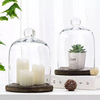 Glass Cloche Dome Bell Jar Display Case with Small Ball Top and Wooden Base for Plant,Collectibles (Medium:4.7 * 6.3 inches) - Image 6