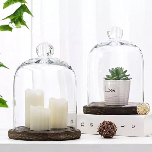 Glass Cloche Dome Bell Jar Display Case with Small Ball Top and Wooden Base for Plant,Collectibles (Medium:4.7 * 6.3 inches) - Image 6