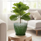 Ceraimc Plant Pot - 6.3 Inch Planter with Drainage and Plant Tray, Round Succulent Planters, Decorative Flower Pot for Indoor, Room Office Patio House Decor, Gifts for Women Men, Green - Image 5
