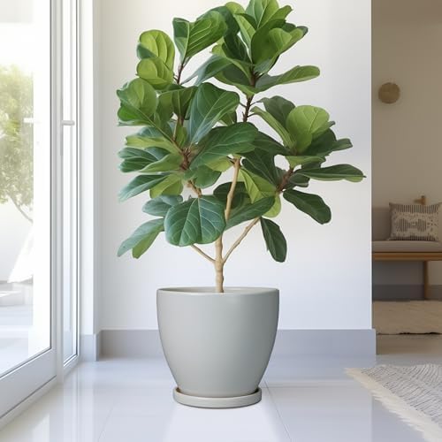 10 Inch Planter - Ceramic Pots for Plants, Planters with Drainage Hole and Tray, Modern Flower Pots Indoor, Home Living Room Patio Porch Garden Office Decor, Gray - Image 2