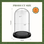 Suclain 4Pc Glass Dome Cloche with Wood Base, Black, 6.7" X 3.8" - Image 2