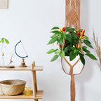 Hoteam 12 Pcs Macrame Plant Hangers Macrame Hanging Planters for Indoor Plants Handmade Boho Hanging Baskets Flower Pots Holder for Outdoor Home Wall Decor - Image 6