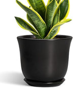 8 Inch Plant Pot - Ceramic Pots for Plants with Drainage Hole and Saucer, Round Planter for Indoor Outdoor, Modern Flower Pot, Gifts for Plant Lovers, Home Room Garden Porch Decor, Black by SUNPOTFOR
