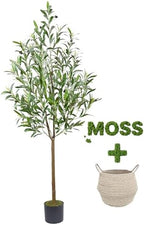 Warmplants Artificial Olive Tree 5ft Fake Plant with Woven Basket by Warmplants