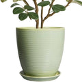 Ceramic Planter - 10 Inch Plant Pot for Indoor Outdoor with Drainage Hole and Plant Tray, Modern Round Home Office Patio Room Decor, House Warming Gifts, Green by EPFamily