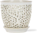 Elegant Orchid Pot with Holes, Large 6.5 inch Premium Porcelain Ceramic Orchid Pot for Repotting, Durable Ceramic Planter with Removable Saucer for Easy Drain, Planter Gifts for Moms by MamaCozyLife