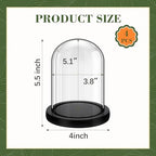 Suclain 4Pc Glass Dome Cloche with Wood Base, Black, 5.1" X 3.8" - Image 2