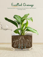 LE TAUCI 10 inch Plant Pot, Ceramic Pots for Plants, Black - Image 3