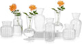 Mini Glass Vases for Centerpieces - Hewory Clear Small Bud Vases in Bulk, Cute Flower Vases Set for Wedding, Home Decoration, Table Decor (Clear, 8) by Hewory