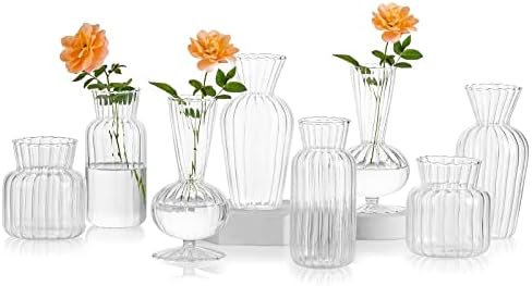 Mini Glass Vases for Centerpieces - Hewory Clear Small Bud Vases in Bulk, Cute Flower Vases Set for Wedding, Home Decoration, Table Decor (Clear, 8) by Hewory