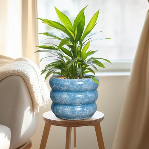 SQOWL 8 Inch Plant Pot with Drainage Hole - Ceramic Pot for Plants Outdoor Planter for Indoor Plants Decorative Plant Pot Medium Flower Pot Round Planter for Bathroom House Decor Blue - Image 5