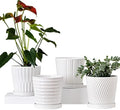 White 6 Inch Flower Pots for Plants,Ceramic Planter with Drainage Holes by TonSin