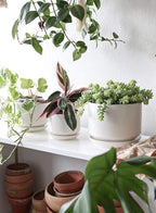LE TAUCI Ceramic Pots for Plants, 4.3+5.3+6.8 Inch, Set of 3, White - Image 3