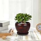 Ceramic Plant Pots With Saucer & Drainage Hole, 10 inch Indoor Flower Pots - Image 7