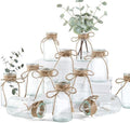 Glass Flower Vases for Centerpieces, 12Pcs Vintage Small Clear Bud Vase for Flowers Mini Crystal Decorative Bottle with Hemp Rope Bows for Housewarming Wedding Birthday Tabletop Decoration by Unknown