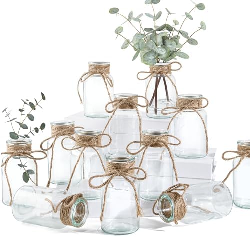 Glass Flower Vases for Centerpieces, 12Pcs Vintage Small Clear Bud Vase for Flowers Mini Crystal Decorative Bottle with Hemp Rope Bows for Housewarming Wedding Birthday Tabletop Decoration by Unknown